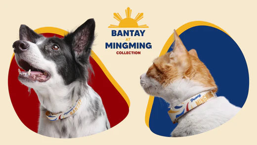 Bantay at Mingming Collection: A Heartfelt Tribute to Aspins and Puspins